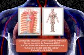 Presentación de PowerPoint - telmeds.org · 2.Función y estructura de la pared de las arterias y venas 3. ... retornan a su tamaño normal Arteria aorta ascendente Tronco arterioso