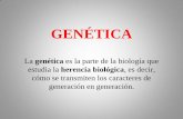 Presentación de PowerPoint - … · Se denomina herencia ligada al sexo. GENES DEL CROMOSOMA X: daltonismo y hemofilia Son caracteres que se deben a un gen recesivo situado en el