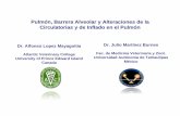Pulmón Barrera Alveolar y Alteraciones de laPulmón ...people.upei.ca/lopez/castellano/tamaulipas/respiratorio/2-pulmon.pdf · Pulmón con hemorragias focales Pulmón con hemorragias