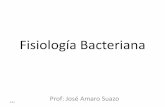 Fisiología Bacteriana - academico.upv.clacademico.upv.cl/doctos/ENFE-6017/{103AD534-8A1F-456C-9BF8... · Introducción •La fisiología bacteriana comprende el estudio de las funciones