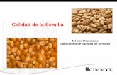 Calidad de la Semilla - libcatalog.cimmyt.orglibcatalog.cimmyt.org/Download/cis/58348.pdf · la propiedad que permite a la semilla, habiendo eliminado la dormancia, de ... Condiciones
