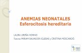 ANEMIAS NEONATALES Esferocitosis hereditaria³n-R1... · Anemias en la infancia y otros trastornos eritrocitarios. Del Pozo Machuca J, Redondo Romero A, et al., eds. Tratado de Pediatria