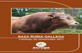 RAZA RUBIA GALLEGA - acruga.com Sementais Rubia Galega... · 1,162 104 955 229 1811 106 435 98 ... Platero Cachorro II Figueira Pavaroti Pichona Cadena CG-8033 BN-314 CG-690197 CV-2371