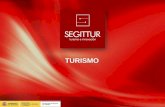 TURISMO - segittur.essegittur.es/.../galerias/descargas/proyectos/Industria-del-turismo.pdf · Son los servicios requeridos o empleados por los turistas que no dependen del sector