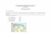 ORGANIZACIÓN PANAMERICANA DE LA SALUD …reliefweb.int/sites/reliefweb.int/files/resources/51391C37B9568C59... · La situación a los 7 días de ocurrida la ... en la coordinación