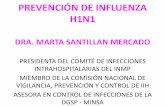 PREVENCIÓN DE INFLUENZA H1N1 - minsa.gob.pe · Que es la Influenza H1n1 ? •Es un virus de la gripe, pero nuevo, por eso las personas no tienen defensas contra el. •En ciertas