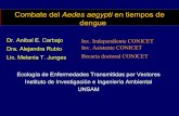 Combate del Aedes aegypti en tiempos de dengue - … · El dengue • En Argentina no es endémica, Desde 1998 ocurren epidemias y casos aislados luego de la entrada del virus desde