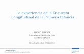 Presentación de PowerPoint - Public Documents Searchpubdocs.worldbank.org/en/302251475523368790/14-David-Bravo-ELPI... · DAVID BRAVO P.Universidad Católica de Chile ... Child Ca