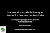 Los servicios ecosistémicos que ofrecen los bosques ...elti.fesprojects.net/2014_Watershed_Conf_Panama/patricia_balvanera.… · Estadísticas gubernamentales ... •Identificar