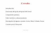 Bromatología cereales alumnos 24.10 - Albergue de ...€¦ · Almidones resistentes: RS 1, RS 2 y RS 3 T. Girbés P. Jiménez alfa 1,6 alfa 1,4 maltasa gama-amilasa ... reduciendo