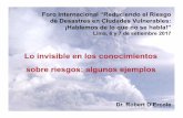 Lo invisible en los conocimientos - predes.org.pe · PNUD/SDP-052/2009 Sistema de Información sobre Recursos para la Atención de Desastres (SIRAD) en el Área Metropolitana de Lima