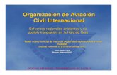 Organización de Aviación Civil Internacional - icao.int · OFICINA REGIONAL SUDAMERICANA DE LA OACI 1 Organización de Aviación Civil Internacional Taller sobre la Hoja de Ruta