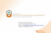 Sistemas de Información Ing. José Orlando Mejía Corzo ... presentaciones2.pdf · mft-oi-oo manual biblioteca e-libro ... glpi programas acadÉmicos maestrías, especializaciones,
