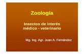 Zoologíaecaths1.s3.amazonaws.com/zoologiaveterinariaunt... · Clasificación del Reino Animal Phylum : Artrópodos : Incluye la mayor cantidad de especies dañinas para los animales