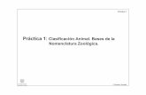 Práctica 1: Clasificación Animal. Bases de la …¡ctica 1... · 1º Biología- Zoología Práctica 1 Linneo y el desarrollo de la clasiﬁcación animal • Sistema de clasiﬁcación