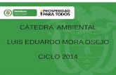CÁTEDRA AMBIENTAL LUIS EDUARDO MORA …redcolombianafa.org/apc-aa-files/2571f4b823e0de5ef2cac7fe9c77916d... · 100, Ley 134 de 1994. CONPES 3700 de 2011, Estrategia Institucional