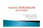 Dr HUERTAS GONZALEZ Alcázar De San Juan 5 de … · la proporcion de tejido proliferativo anormal debe ser ... se practica ht + da tumor seroso borderline bilateral ... seroso de