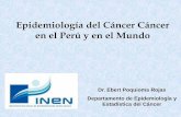 Epidemiología del Cáncer Cáncer en el Perú y en el … · C44 Cáncer de piel no melanoma 1,517 1,359 2,876 3,384 7,977,625 C73 Cáncer de Tiroides 856 ...
