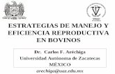 ESTRATEGIAS DE MANEJO Y EFICIENCIA …€¦ · arechiga@uaz.edu.mx . Charla Escenario de la Producción de Alimentos ... • Animales no gestantes y tracto genital normal