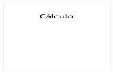 Cálculo · 19 1.1 ANTECEDENTES HISTÓRICOS DEL CÁLCULO. Introducción El Cálculo constituye una de las grandes conquistas intelectuales de la humanidad.