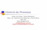 Control de Procesos - isa.cie.uva.esprada/ControldeProcesos.pdf · Control de Procesos Cesar ... Conocimientos de Fundamentos de Automática y ... simulation and control for chemical
