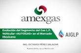 Evolución del Segmento del Gas L.P. Vehicular aiglp.org/site/esp/wp-content/uploads/2017/04/  · Líder