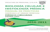 BIOLOGÍA CELULAR E HISTOLOGÍA MÉDICA - … · 1 facultad de medicina, u.n.a.m. 2010-2011 biologÍa celular e histologÍa mÉdica manual de prÁcticas fascÍculo i (1ª unidad temÁtica)