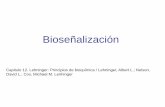 Bioseñalización - IIB-INTECH · Bioseñalización Capitulo 12. Lehninger: Principios de bioquímica / Lehninger, Albert L.; Nelson, David L.; Cox, Michael M. Lenhinger