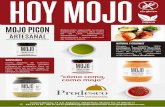 sin gluten vegano MOJO PICON ARTESANAL Y … · FOLLETO MONOGRAFICO MOJO2 Created Date: 12/18/2017 1:31:21 PM ...
