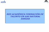 RED ACADÉMICA FORMACIÓN DE TALENTO EN GAS … · producción, procesamiento, transporte y distribución de gas en tierra, así como la explotación de gas costa afuera. ... Maestría