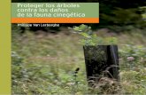 Proteger los árboles contra los daños de la fauna … B/Pirinoble_Guia_Protectores_Malla_Van... · Estacas pequeñas de madera ... de servicio (postes, estacas, varas), ... En el