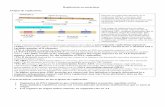 Replicaci.n en eucariotas - Bioquímica Antonio … parcial/lista de temas... · Replicación en eucariotas Origen de replicación: Origenes de replicación del DNA en el cromosoma