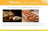 Imágenes tomadas de: ... - … · una yema central (31%) rodeada por la clara (58%) y todo ello envuelto por una cáscara externa (11%). El huevo tiene contenidos moderados en calorías