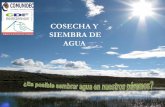 COSECHA Y SIEMBRA DE AGUA - cmsdata.iucn.orgcmsdata.iucn.org/downloads/1_bonilla_carlos__la_siembra_y_cosecha... · DESAPARICION DE CUBIERTA VEGETAL NATIVA, SOBREPASTOREO, ... FORMA
