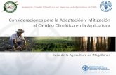 Consideraciones para la Adaptación y Mitigación al …€¦ · con la productividad agrícola y ganadera de Magallanes y de los impactos del cambio climático . Modelamiento ...