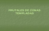 FRUTALES DE ZONAS TEMPLADAS - OCW UPMocw.upm.es/botanica/plantas-de-interes-agroalimentario/contenidos/... · Familia de gran importancia e interés económico: ... verdes por el