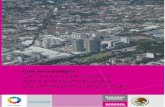 Guía metodológica - inapam.gob.mxinapam.gob.mx/work/models/SEDESOL/Resource/1592/1... · Sara Topelson de Grinberg Subsecretaria de Desarrollo Urbano y Ordenación del Territorio
