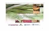 Plan “Prevención y Control de Deficiencias de … Secretaria Nacional del Plan Alimentario Nutricional SIVISAN Sistema de Vigilancia Alimentaria y Nutricional UNICEF Fondo de las