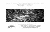 Catalogo de nidos del Museo Provincial de Ciencias ... · Victor H. Lallana (Botánica acuática), Dr. Juan P. Lewis (Ecología botánica ... Primera Junta 2859 – tel./fax: (054)