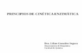 PRINCIPIOS DE CINÉTICA ENZIMÁTICA · PRINCIPIOS DE CINÉTICA ENZIMÁTICA Dra. Lilian González Segura Departamento de Bioquímica Facultad de Química