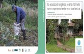 La producción orgánica en alta montaña: Páramo de …paramos.portalces.org/publicaciones/colombia/07_Tropenbos_VAutoras... · familiar en la finca San Luis Vereda Floresta, segundo