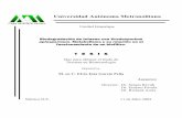 Universidad Autónoma Metropolitana148.206.53.84/tesiuami/UAMI11793.pdf · Biodegradación de tolueno con Scedosporium apiospermum.Metabolismo y su relación en el funcionamiento