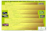 Los 7 grupos de las Flores de Bach - … · Los 7 grupos de las Flores de Bach Para los miedos Aspen | ÁLAMO TEMBLÓN | Miedo ante lo desconocido. Cherry Plum | CERASCIFERA-CEREZO