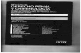 DERECHO PENAL Y CRIMINOLOGÍA - Honorable … · co de esa mega investigación penal, la justicia brasileña comprobó la existencia de una asocia-ción ilícita que fundamentalmente