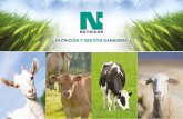 Nutrición y gestión ganadera - Alimentación para vacas ... · minerales, lácticos, cereales extrusionados, extractos de plantas y levaduras. 2. Función y características: ...