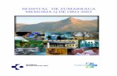HOSPITAL DE ZUMARRAGA MEMORIA Q DE ORO … · estando el resto distribuida en 17 municipios de ámbito rural y caseríos. ... la atención en régimen ambulatorio (8) y la URPA ...