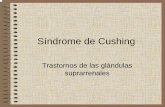 Síndrome de Cushing - Muralmural.uv.es/rasainz/1.2_ENDOCRINO_TEMA_50.pdf · • La Enfermedad de Cushing de etiología endógena se relaciona con: – Tumor hipofisiario, secretor