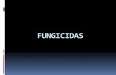 FUNGICIDAS - ecaths1.s3.amazonaws.comecaths1.s3.amazonaws.com/terapeutica/FUNGICIDAS.pdf · No controla oidios, royas y carbones. Incompatible: productos alcalinos y aceites. UTC: