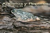 Anfibios y Reptiles - … · José Ramón Verdú, José Villalba Gómez, Diapositivas Andaluzas DIBUJOS: Neftali Sillero SEGUNDA EDICIÓN: diciembre, 2002 PARA ESTA EDICIÓN: Ayuntamiento