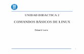 COMANDOS BÁSICOS DE LINUXpersonals.ac.upc.edu/elara/documentacion/LINUX - UD2 - Comandos... · 2 1. SISTEMAS DE FICHEROS DE LINUX Todos los sistemas operativos estructuran sus objetos